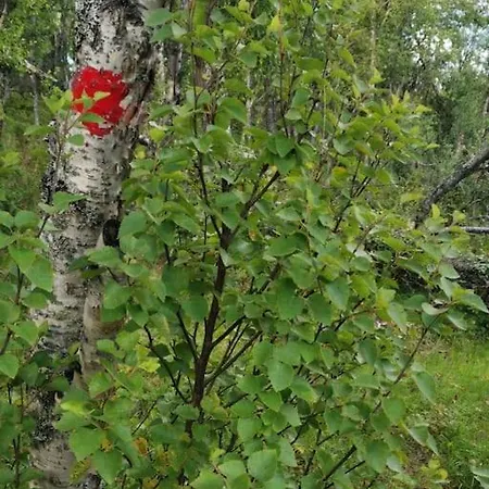Na Er Vinteren Kommet Til Hallingdal Al Exterior photo