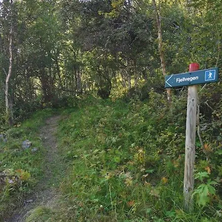 Na Er Vinteren Kommet Til Hallingdal Al Exterior photo