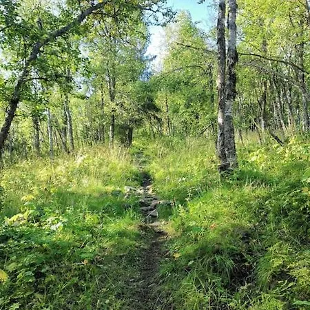 Na Er Vinteren Kommet Til Hallingdal Al Exterior photo