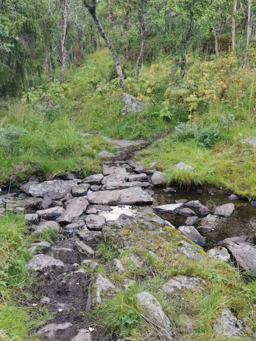 Na Er Vinteren Kommet Til Hallingdal * Al