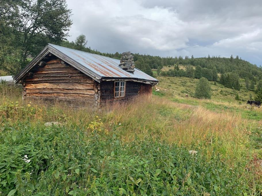 Na Er Vinteren Kommet Til Hallingdal Holiday home