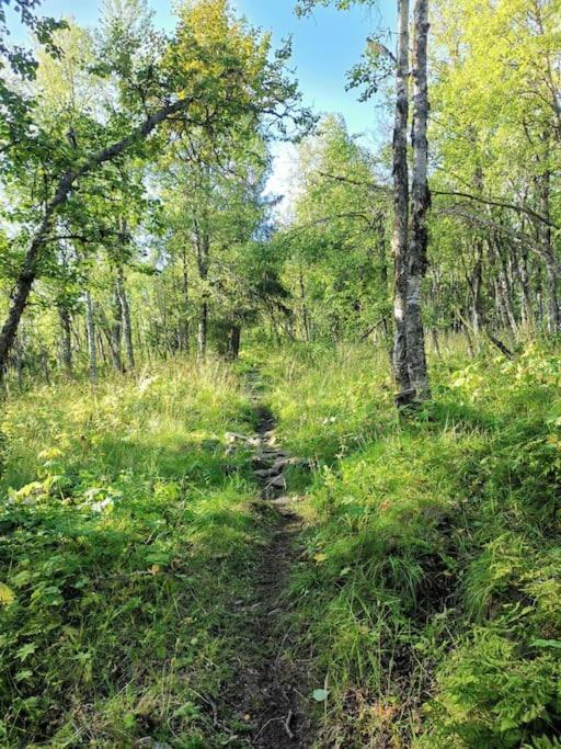 Na Er Vinteren Kommet Til Hallingdal Holiday home Al