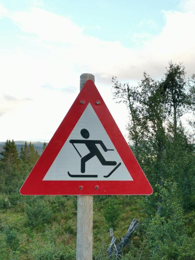 Na Er Vinteren Kommet Til Hallingdal