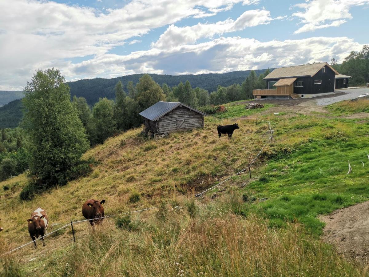 Na Er Vinteren Kommet Til Hallingdal * Al