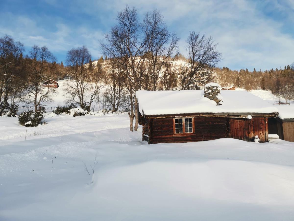 Na Er Vinteren Kommet Til Hallingdal * Al