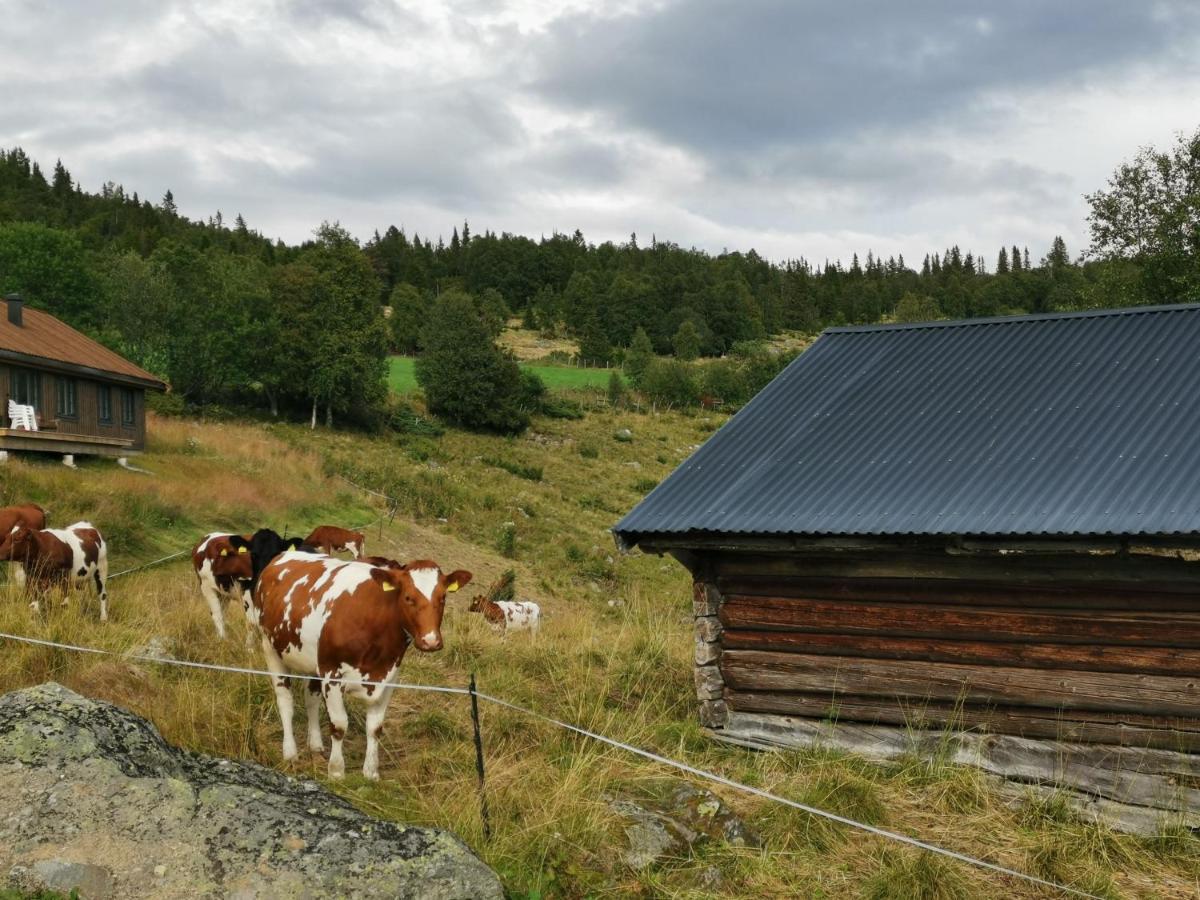 Holiday home Na Er Vinteren Kommet Til Hallingdal Al